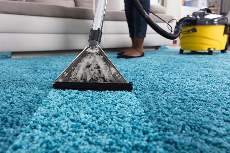 Increase Your Carpet Service Business with an AI Driven, Targeted Website
