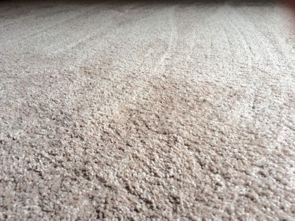 Plush Carpet Installation in Peoria