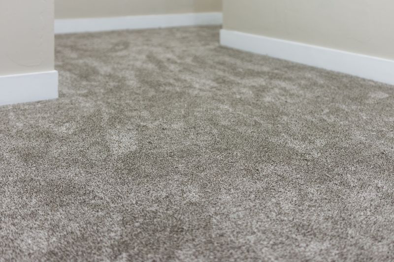 Clean Carpet Surface