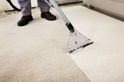 Local Carpet Cleaning Experts
